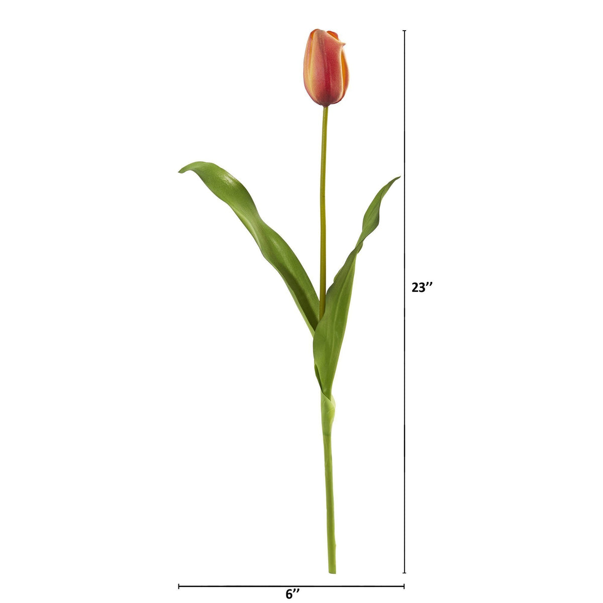 a tulip with a long stem and a long stem with a long stem and a long stem with a long stem and a long stem with a red flower with a long stem and a long stem