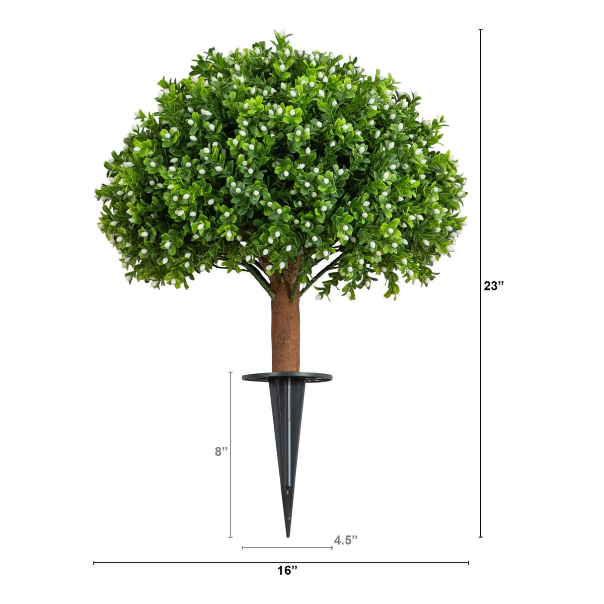 a small tree with a small stem