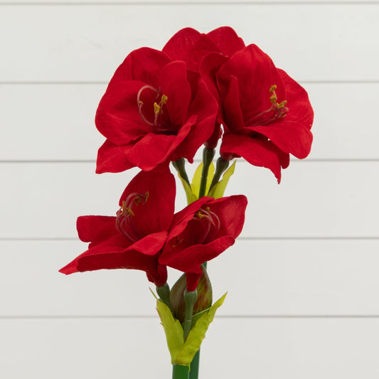 a red flowers on a green stem