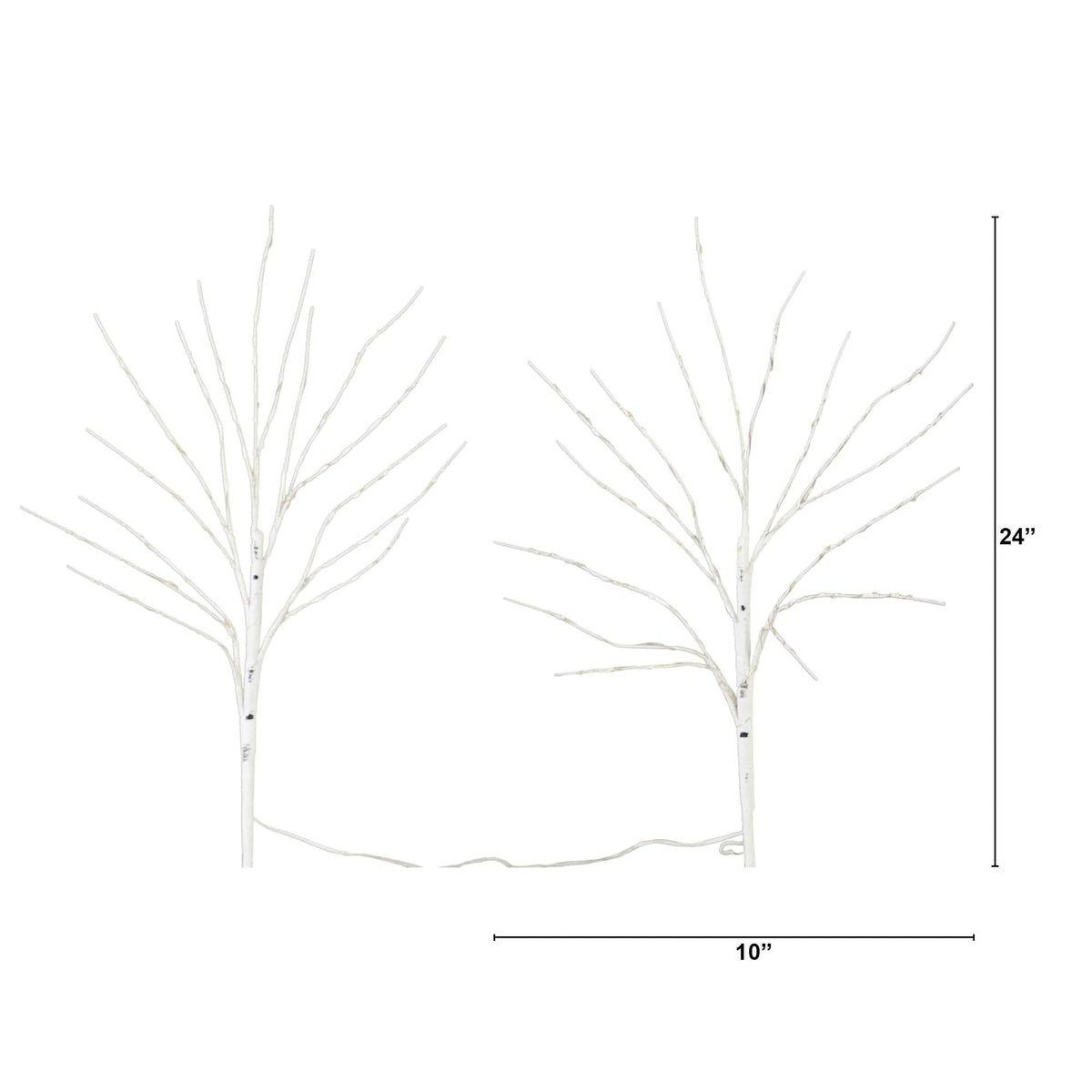 a comparison of a tree with a height
