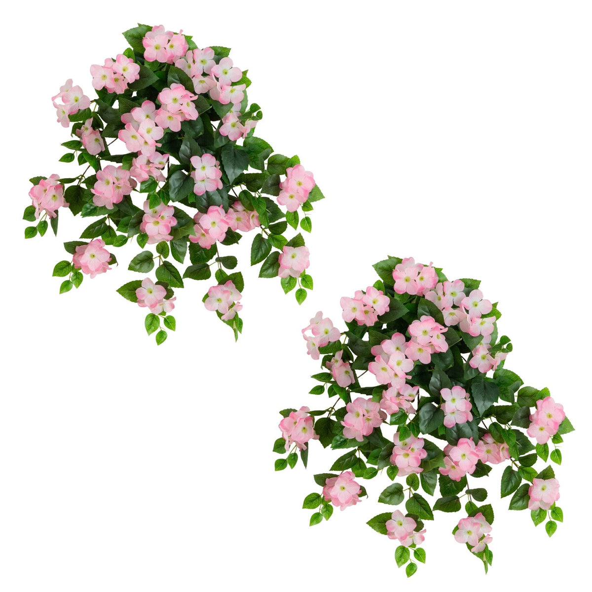 a group of pink flowers and green leaves