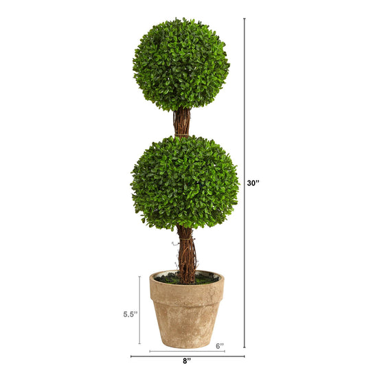 a tall plant in a pot