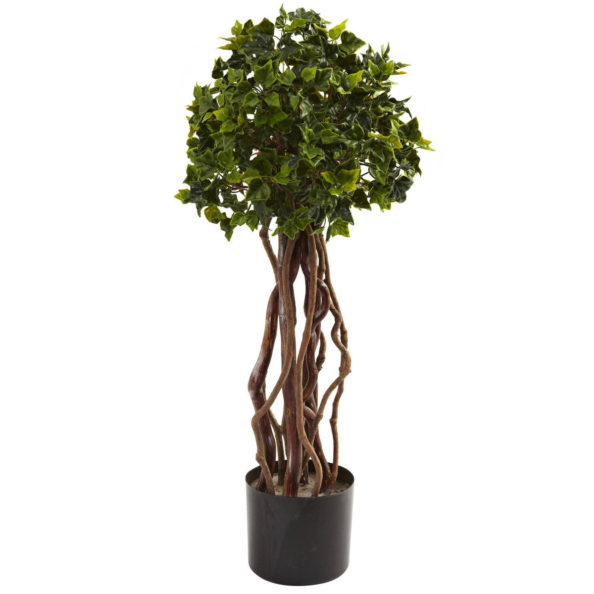 a tree in a pot