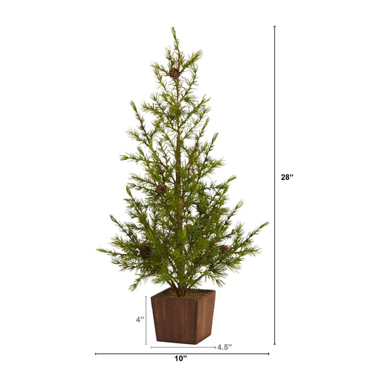 a small tree in a pot