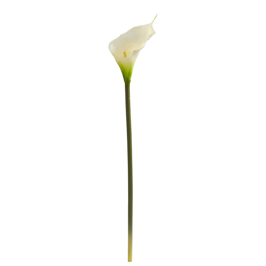 a white flower on a stem