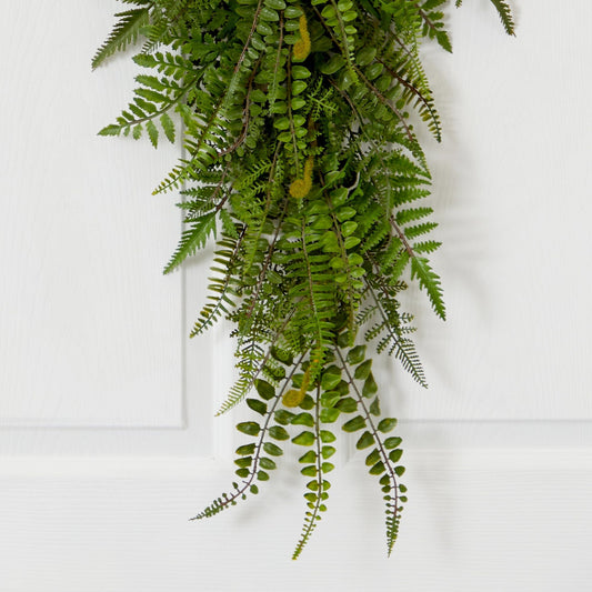 a fern from a door