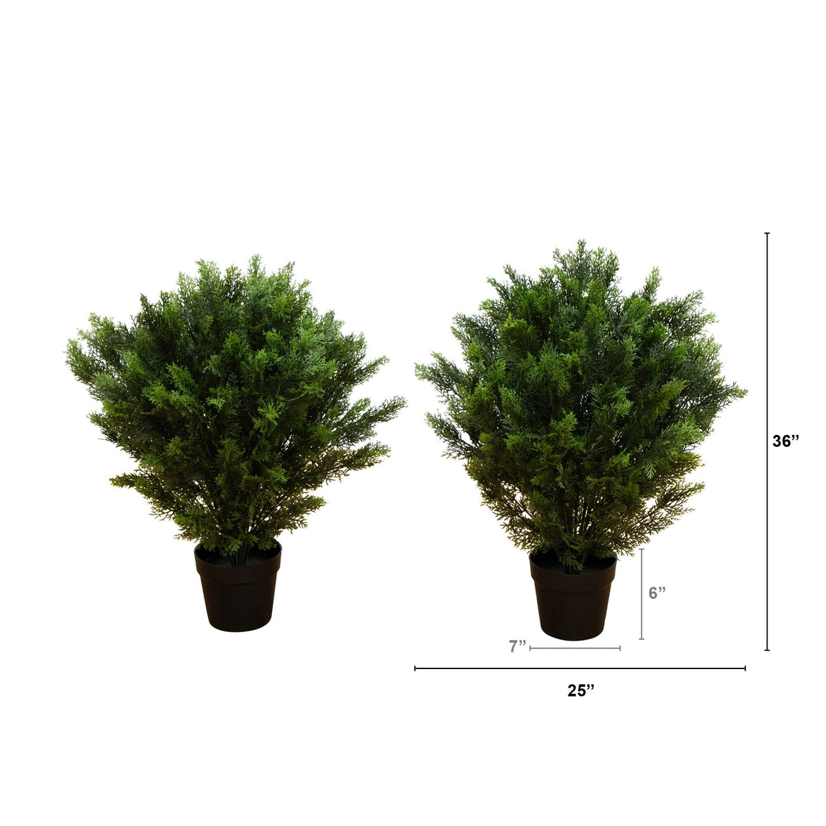 a pair of potted plants