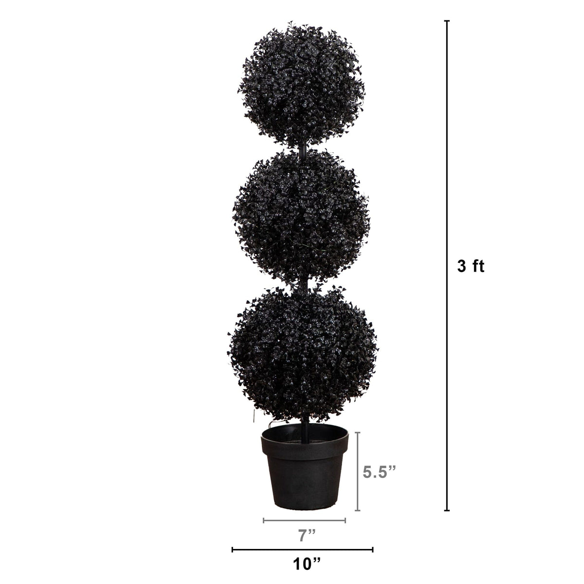 a tall black plant with a tall round topiary