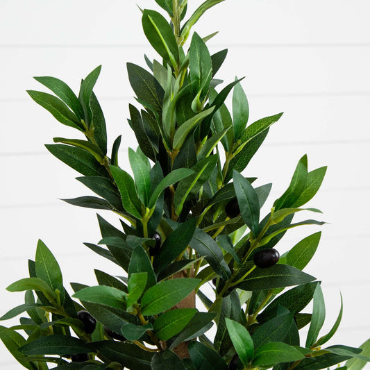 a plant with leaves and berries