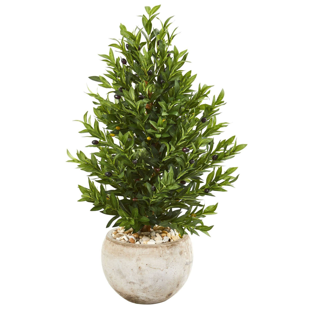 a potted plant with a small tree
