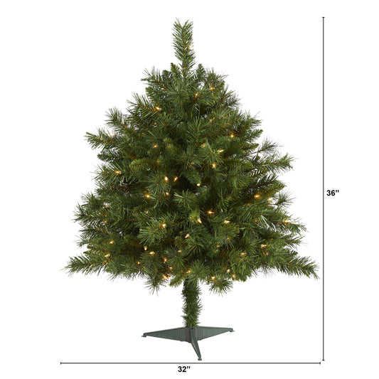 a tree with lights on it