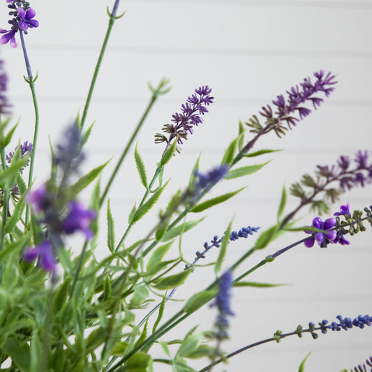 a close up of purple flowers