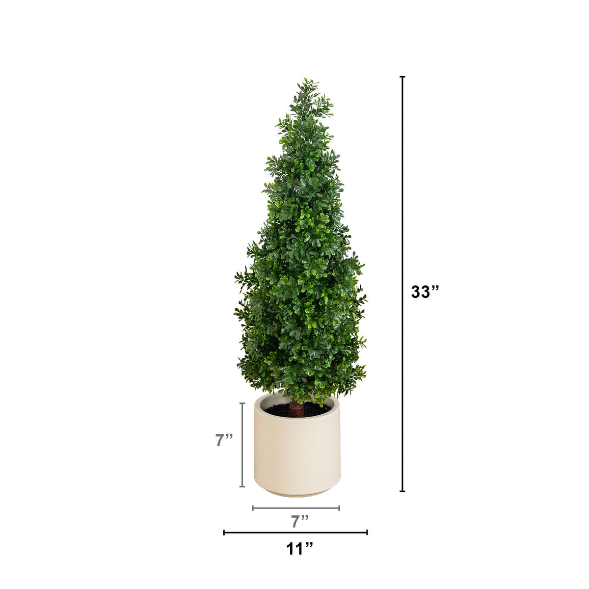 a tall tree in a white pot
