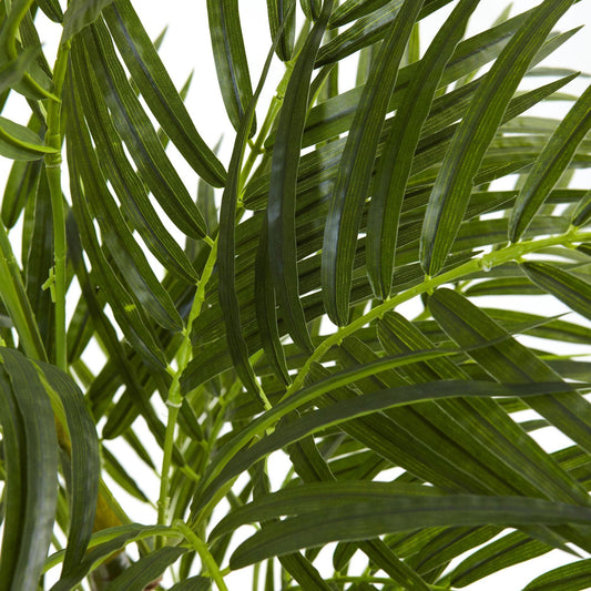 a close up of a plant