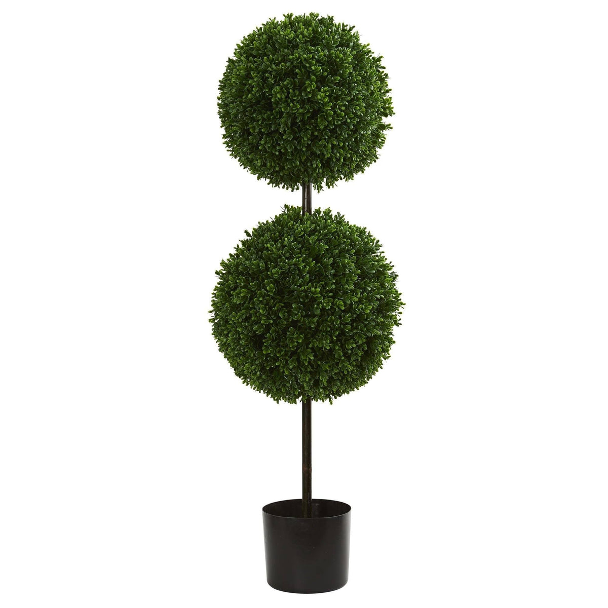 a plant in a pot