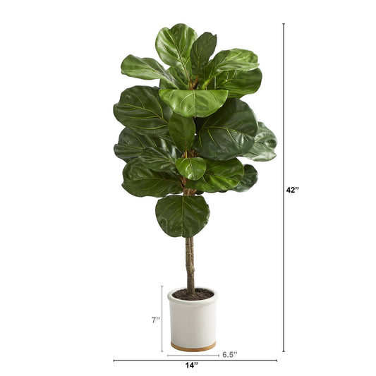 a tall green plant in a white pot