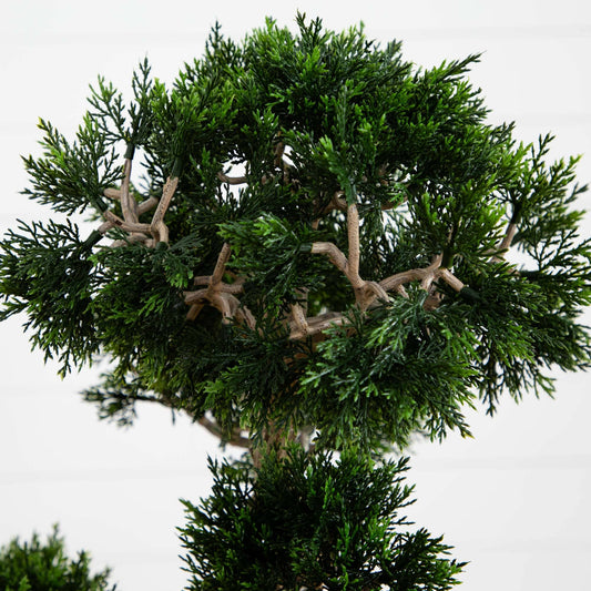 a close up of a tree