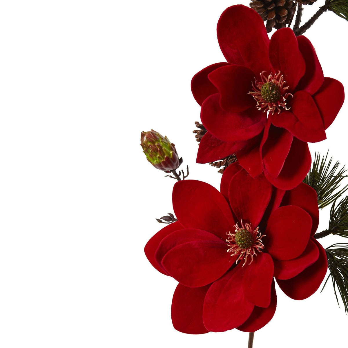 a close up of flowers