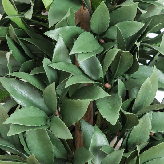 3' UV Resistant Artificial Laurel Plant with Integrated Ground Stake (Indoor/Outdoor)