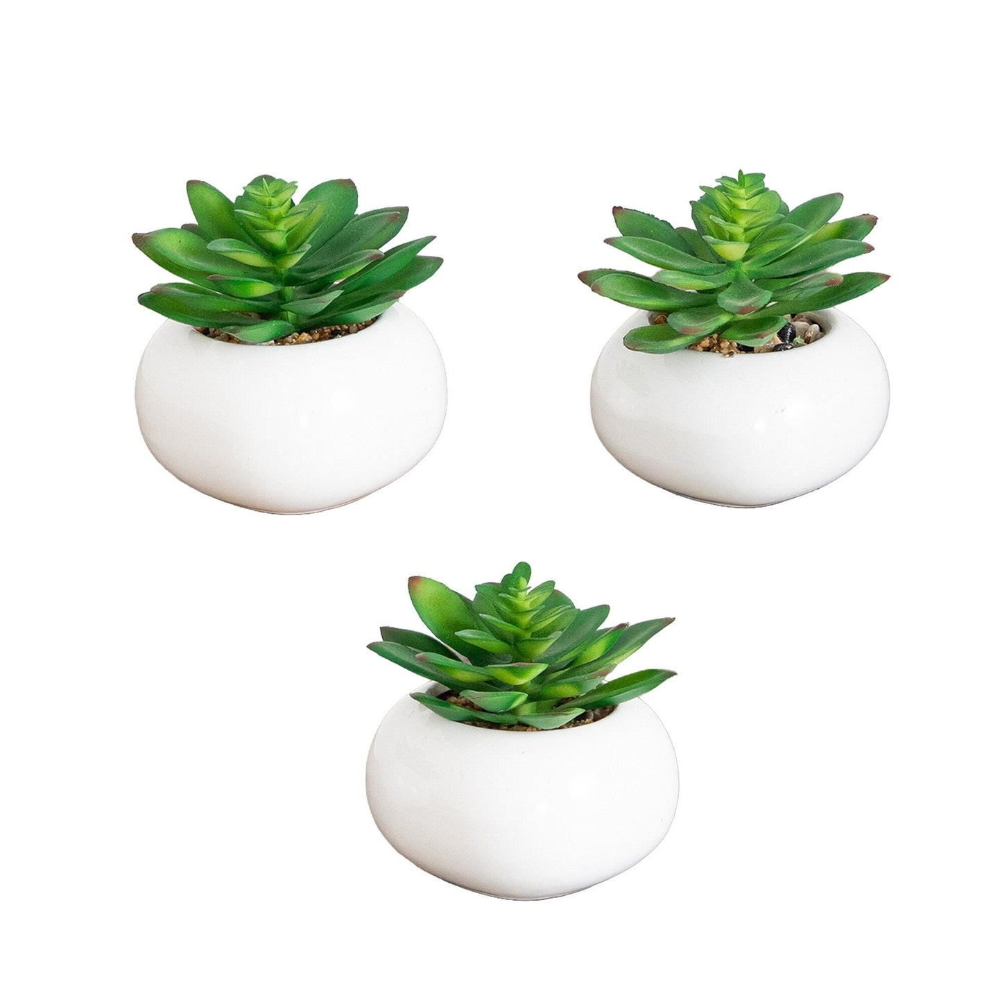 4" Artificial Mini Succulent in Ceramic White Planter -Set of 3