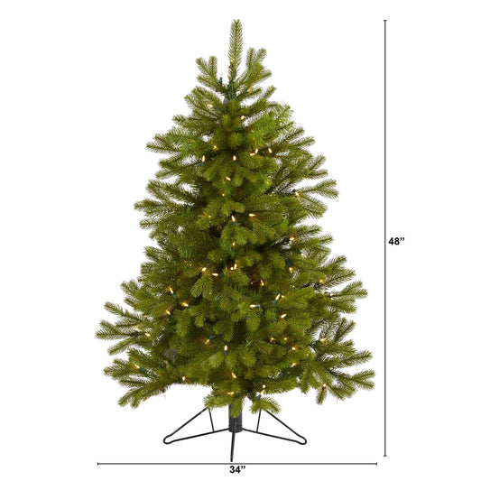 a tree with lights and a height of 6