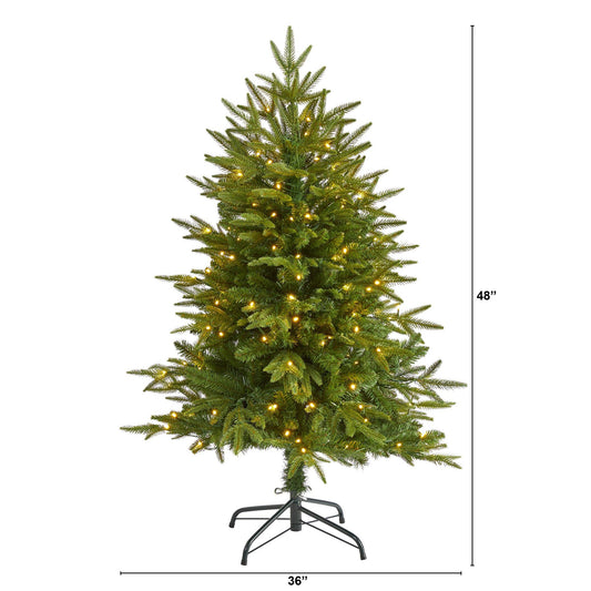 a tree with lights on it