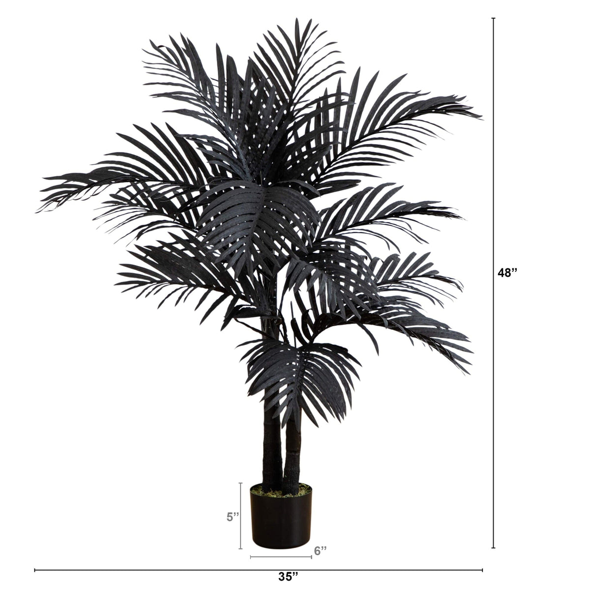 a black plant in a pot