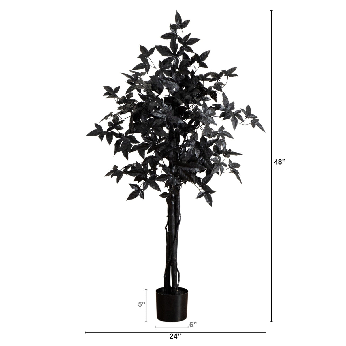 a tall black tree with leaves in a pot