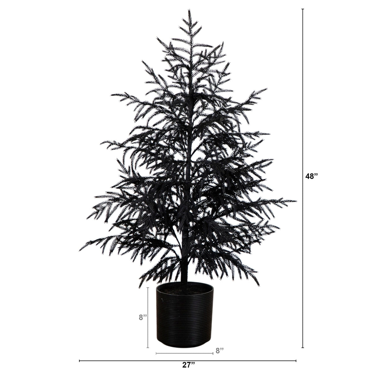 a tall tree in a pot