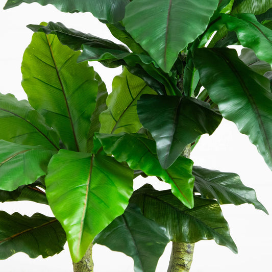 4' UV Resistant Artificial Bird Nest Fern Tree (Indoor/Outdoor)
