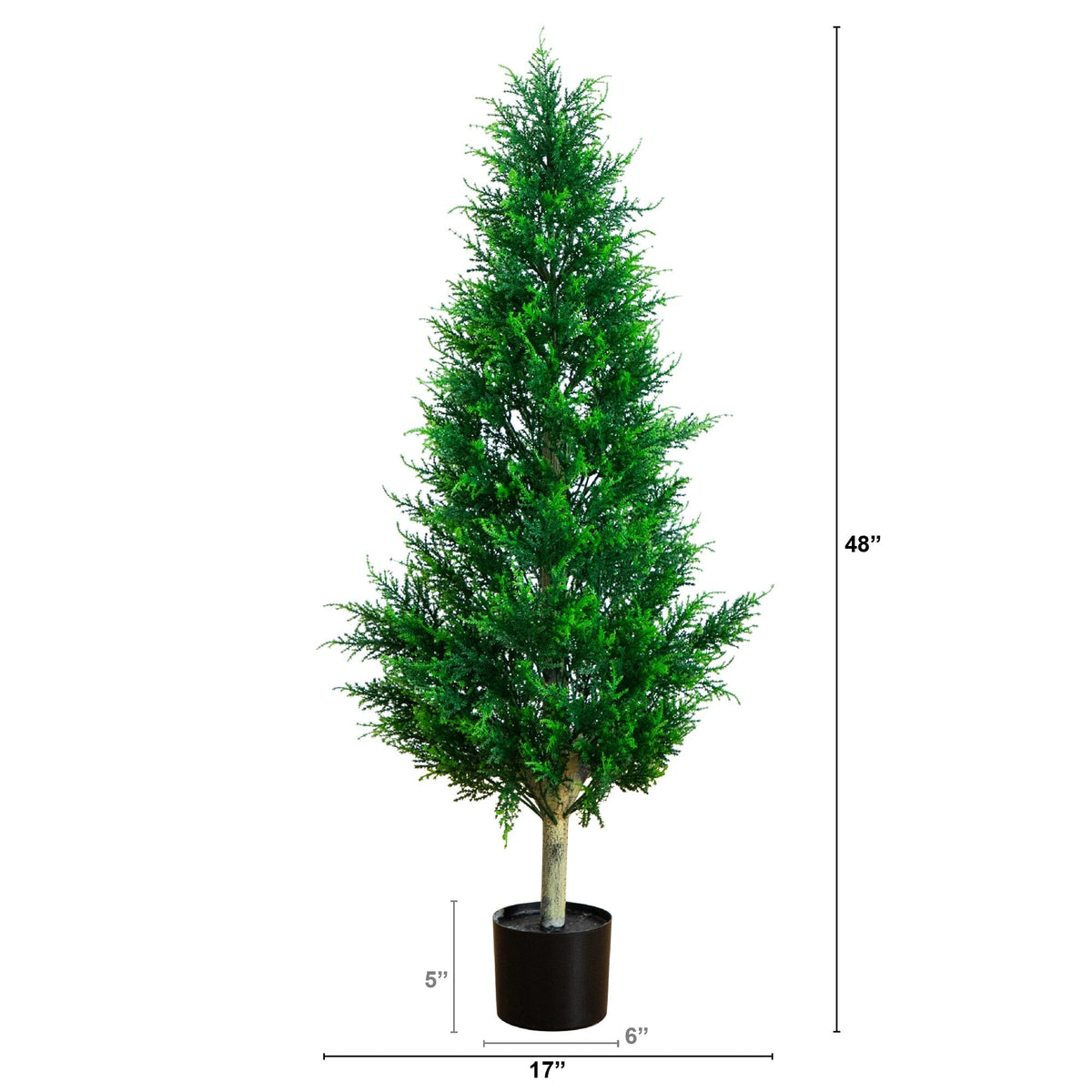 a tall tree in a pot