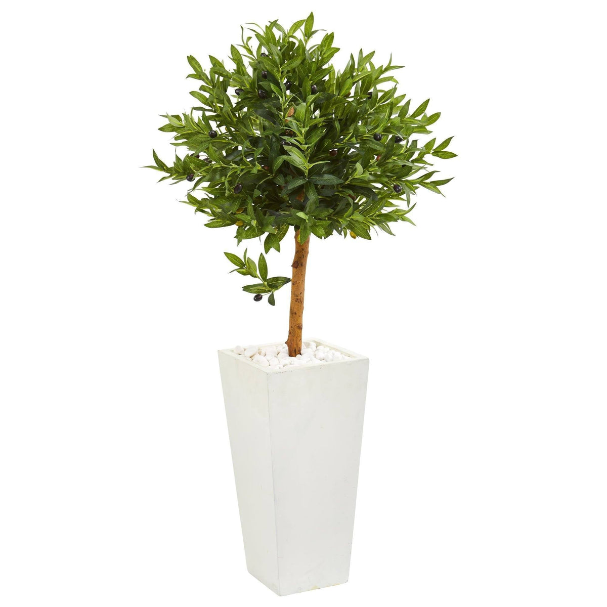 a plant in a white pot