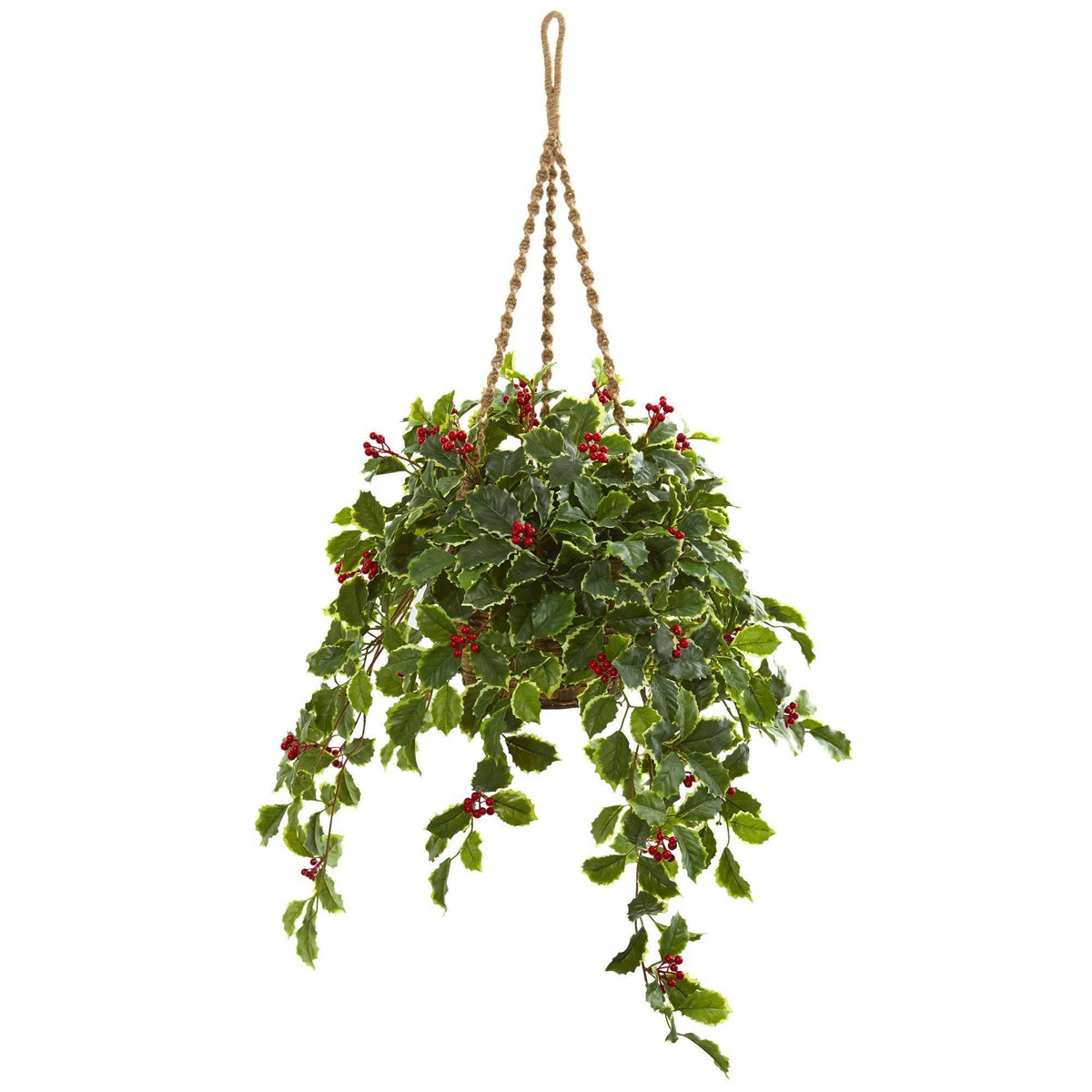 a plant from a rope