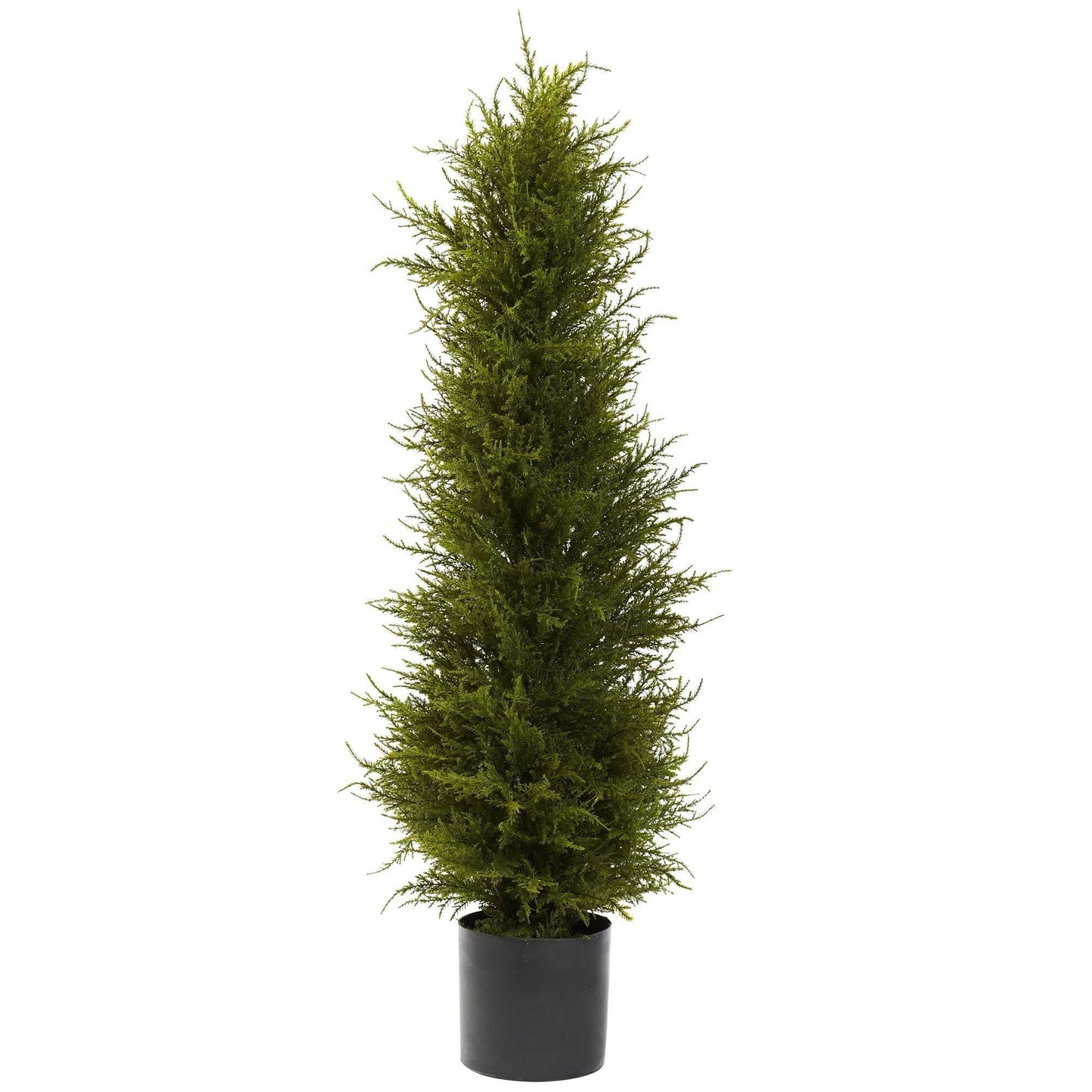 42” Cedar Tree