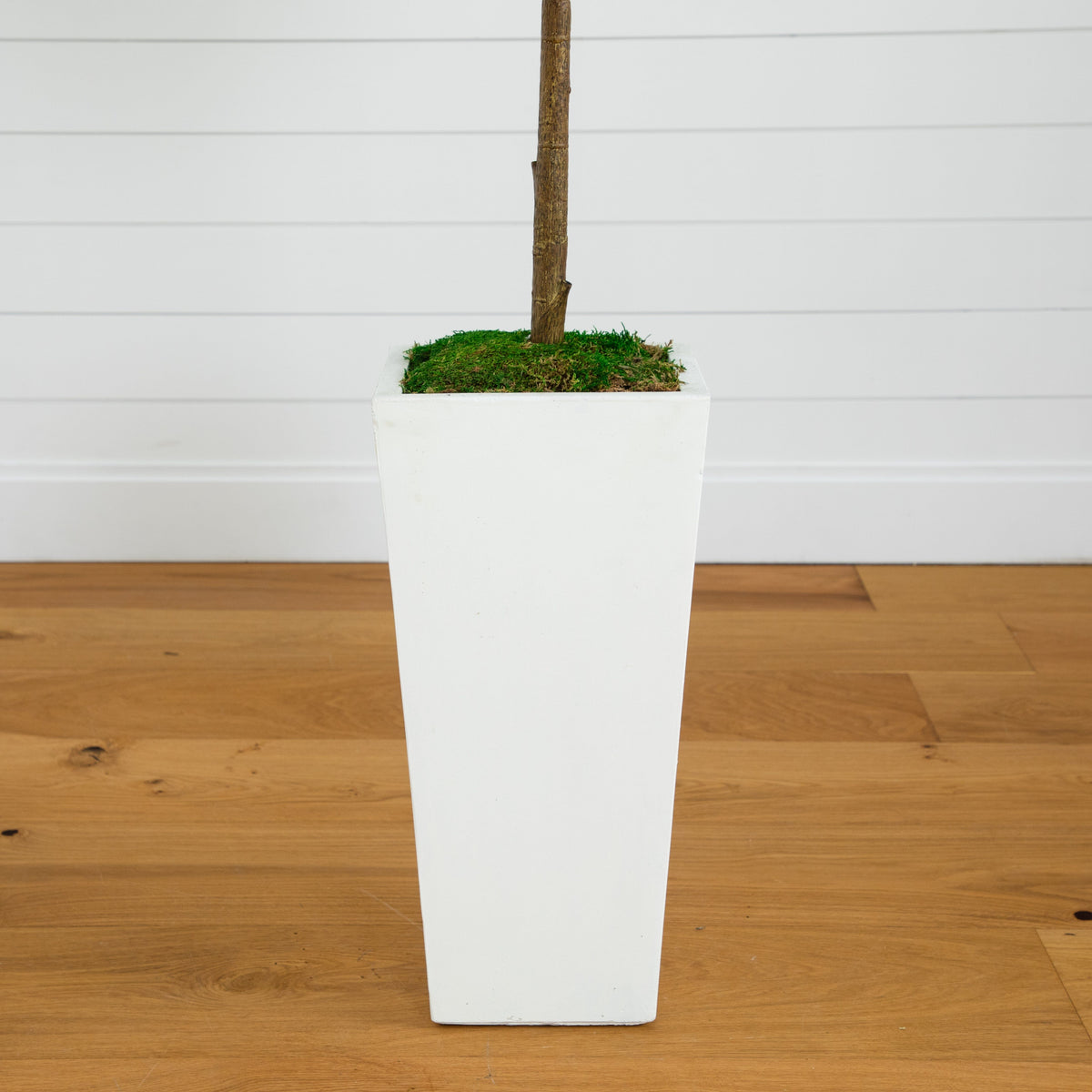 a white rectangular planter with a stick in it