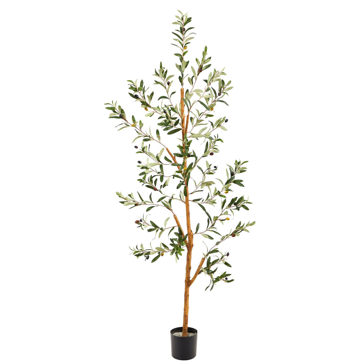 a tree in a pot