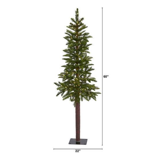 a tall christmas tree with lights