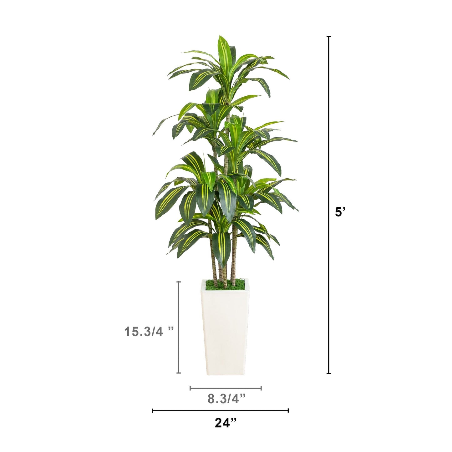 5' Artificial Real Touch Dracaena in Decorative Planter