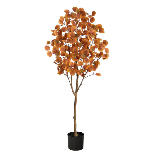 a tree in a pot