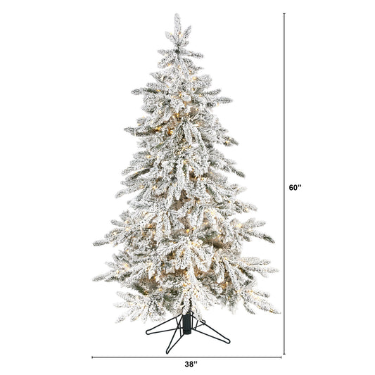 a christmas tree with lights