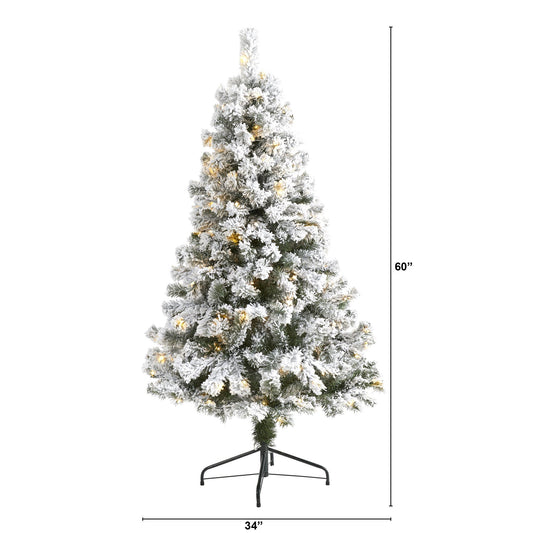 a tall christmas tree with lights and a height chart