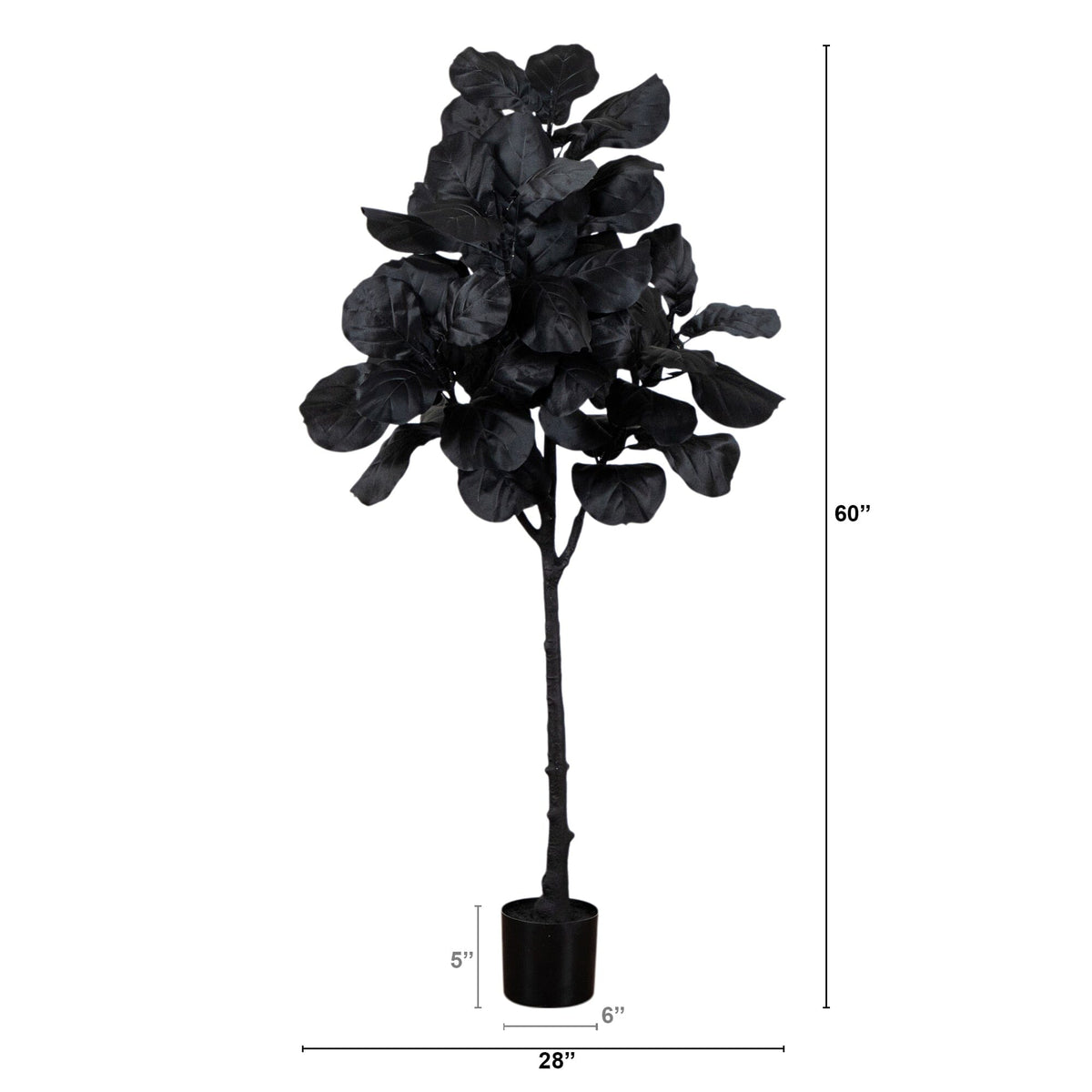 a tall black plant in a pot