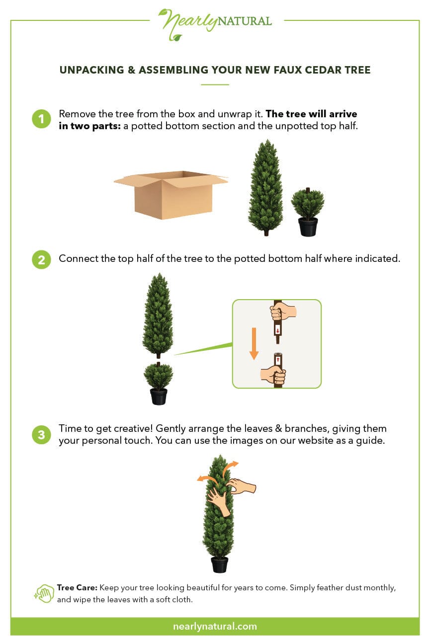 a instructions for how to plant a tree