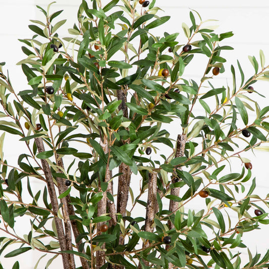 a plant with leaves and berries