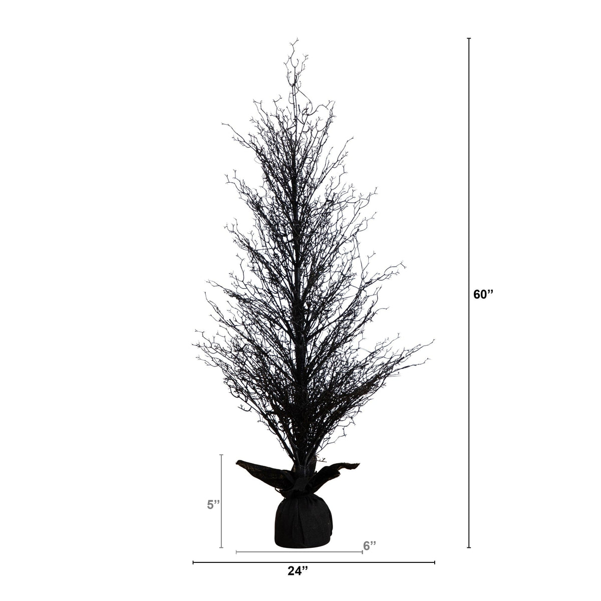 a tall tree with no leaves