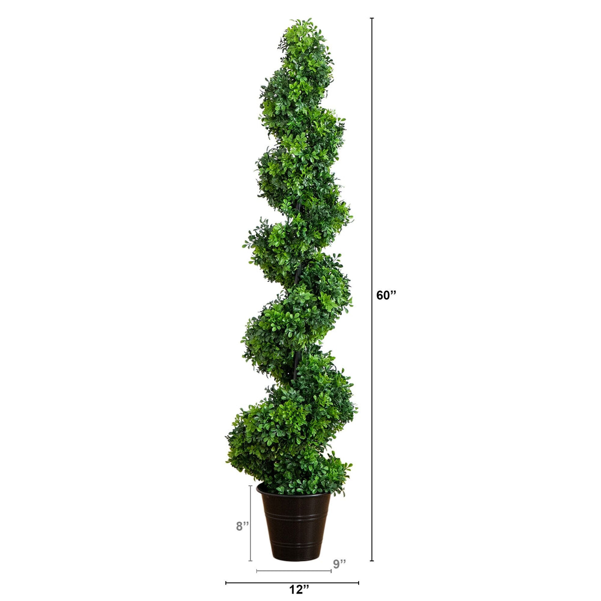 a tall plant in a pot