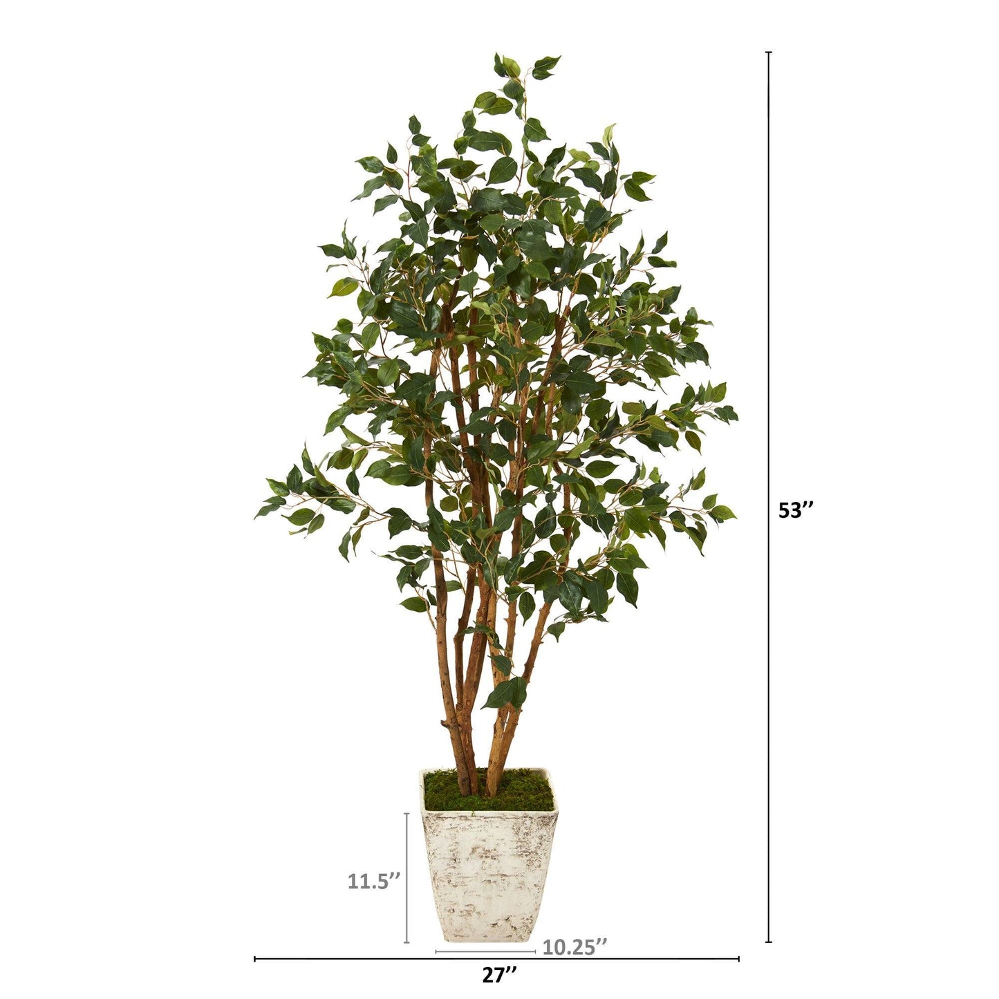 53” Ficus Artificial Tree in Country White Planter