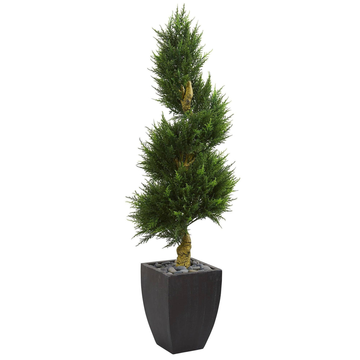 a plant in a pot