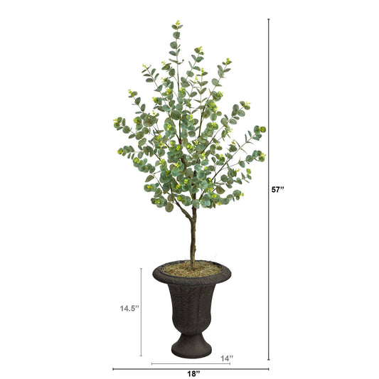 a small tree in a pot