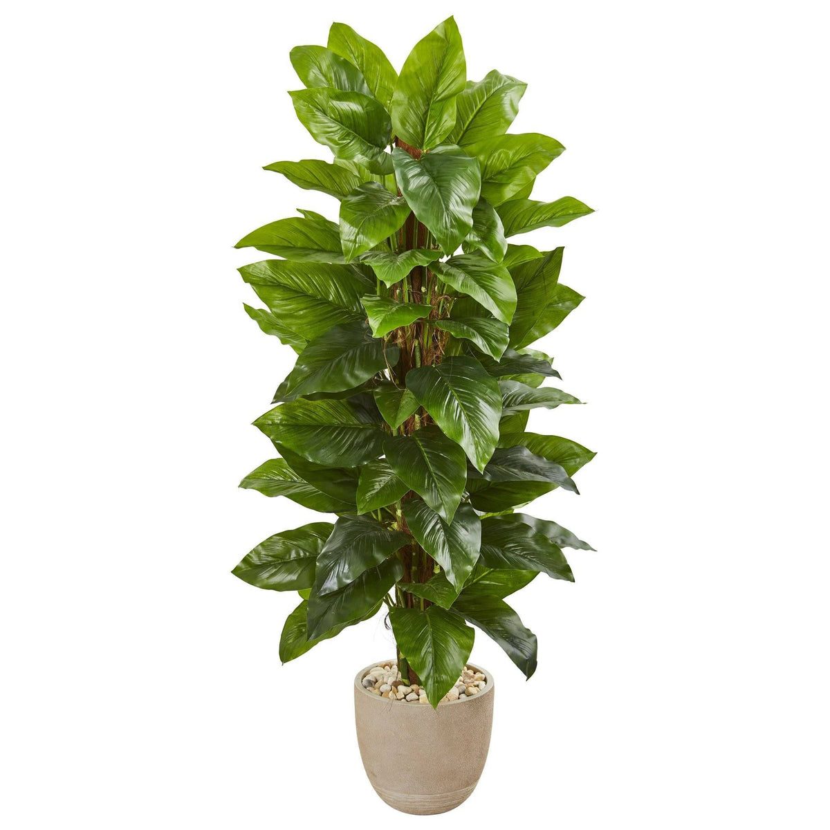 a plant in a pot